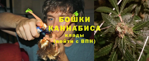 шишки Баксан