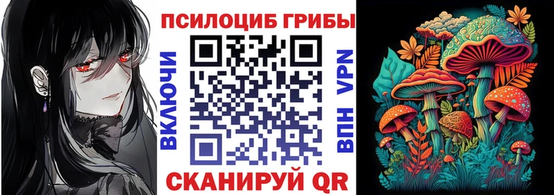 где продают наркотики  Канск  Галлюциногенные грибы GOLDEN TEACHER 